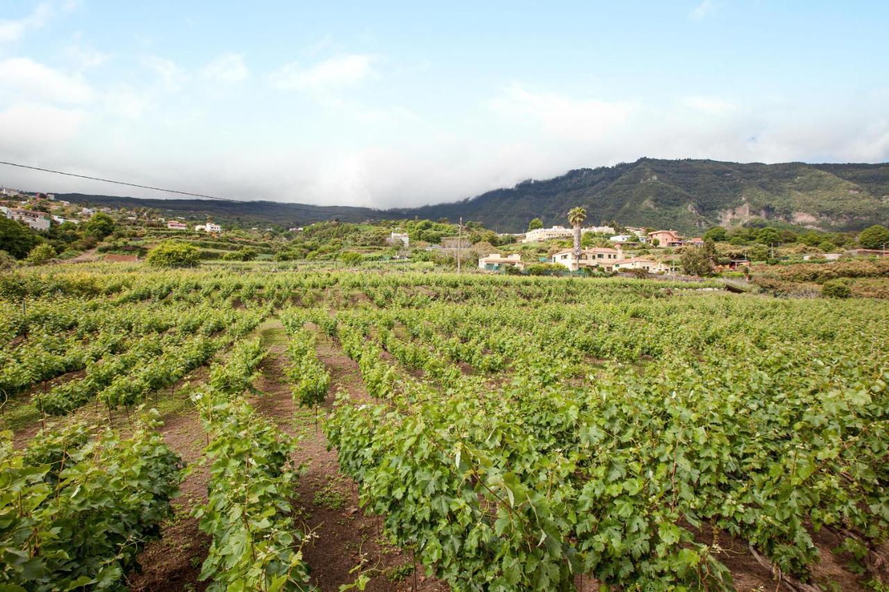 Casa La Chocita Villa Los Realejos Eksteriør billede